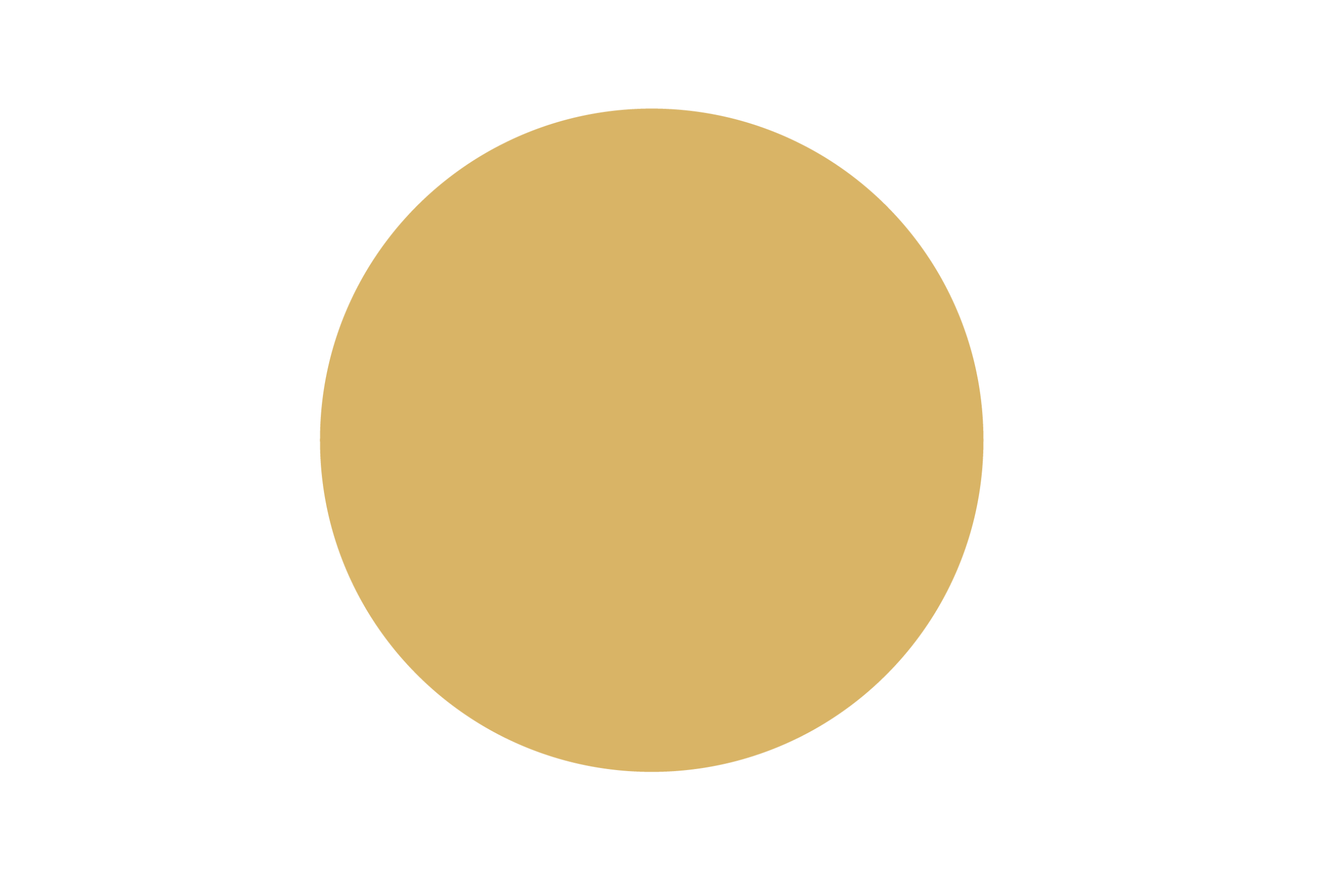 Dune